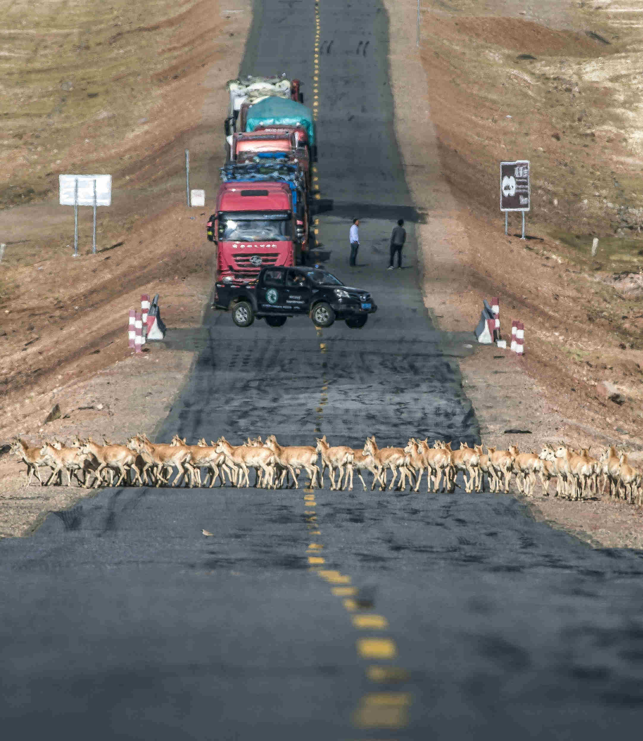 何啟金《遷徙之路》_調整大小