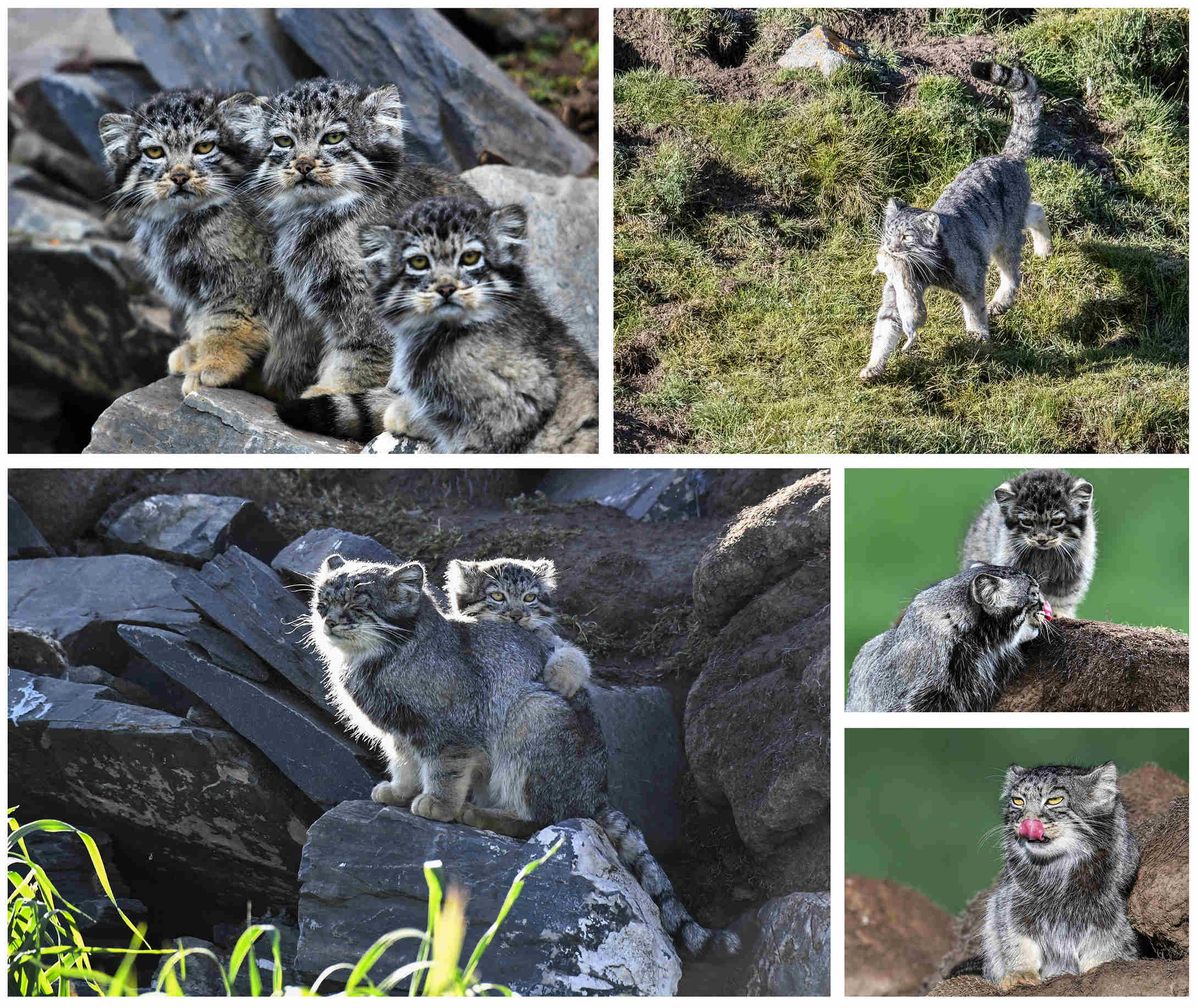 吳術布《幸福時光》